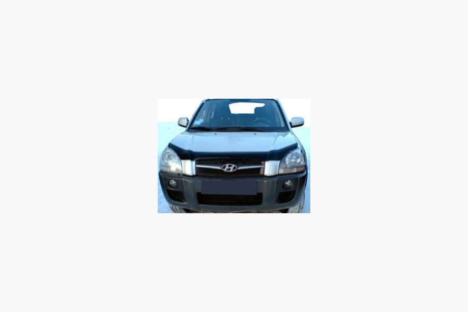 Hyundai Tucson JM 2004– Huvdeflektor (SIM) Image