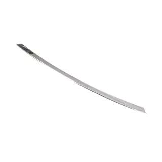 Rostfri list för stötfångargaller 2014-2018 foto 2