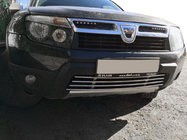 Renault Duster 2008–2017 Nedre galler i ett stycke (rostfritt stål) foto 1