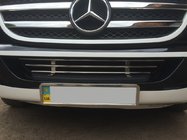 Mercedes Sprinter W906 2006–2018 Stötfångargaller (rostfritt stål) foto 2