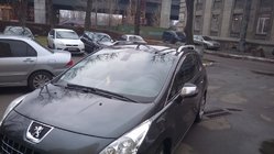 Peugeot 3008 2008–2016 Takrails Skyport Grey foto 5