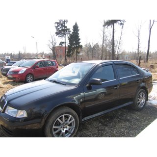 Fönsterlister (4 st, rostfritt) Skoda Octavia I Tour A4 1996–2010 foto 2