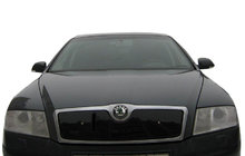Skoda Octavia II A5 2006–2010 Vintertäckning för kylargrill (övre) Matt foto 4