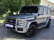 Mercedes G class W463 1990–2018 Frontskyddsbåge (AMG) foto 1