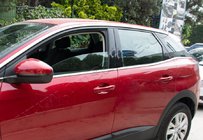 Citroen C5 Aircross 2017–2025 Nedre fönsterlister (8 st, rostfritt stål) foto 1