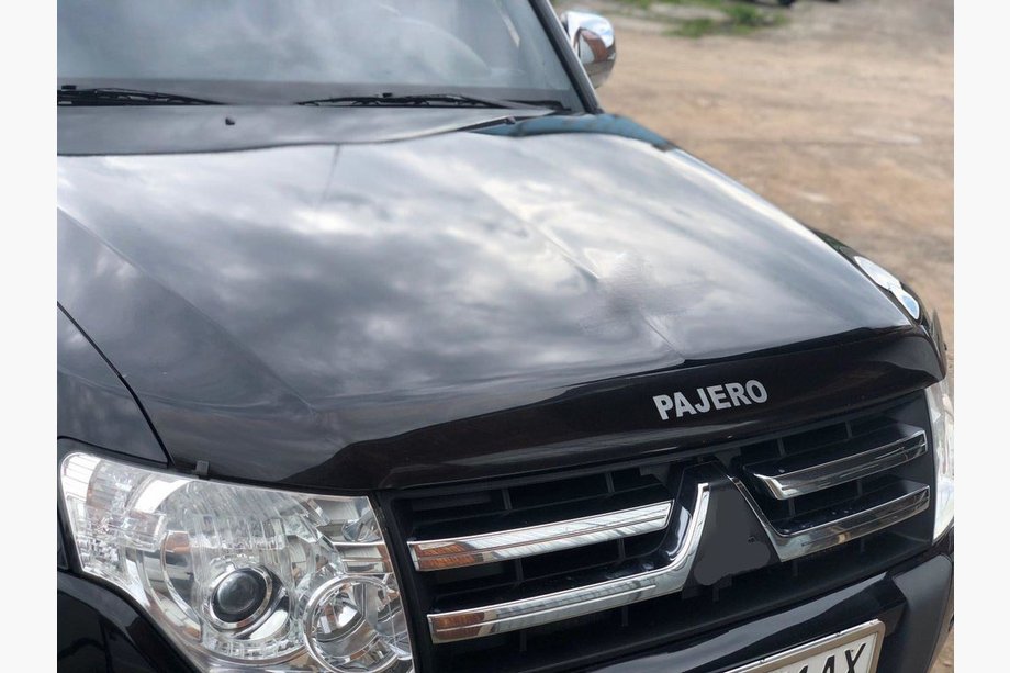 Mitsubishi Pajero Wagon IV 2006–2021 Huvdeflektor (SIM) Image