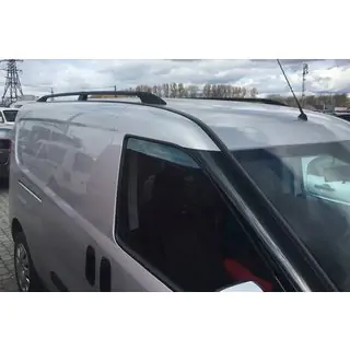 svarta takrails