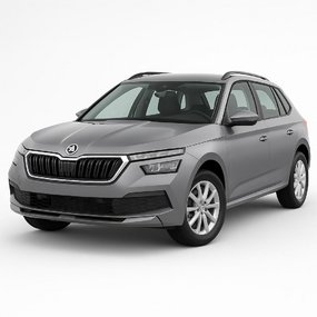 Tuning Skoda Kamiq 2019-
