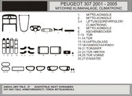 Peugeot 307 2001–2008 Dekorlister för instrumentpanelen (Hartman) Kolfiber foto 1
