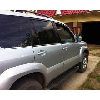 Yttre fönsterlister (6 st, rostfritt stål) Toyota Land Cruiser Prado 120 2002–2009 foto 2