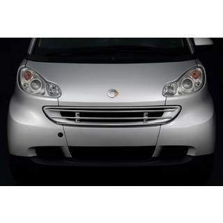 Främre grillskydd Smart 2007–2014 foto 1