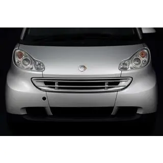 Främre grillskydd Smart 2007–2014 foto 1