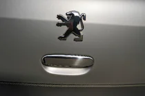 Peugeot 307 2001–2008 Kromkåpa för bakluckehandtag (rostfritt stål) foto 1