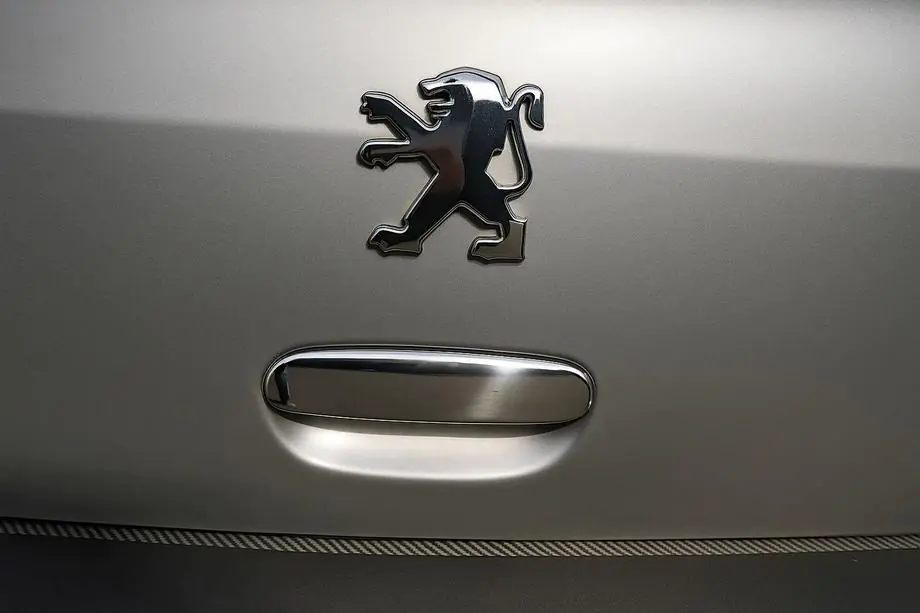 Peugeot 307 2001–2008 Kromkåpa för bakluckehandtag (rostfritt stål) Image