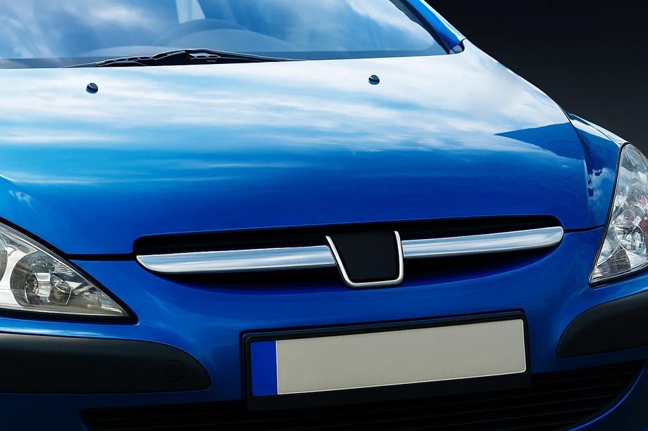 Peugeot 307 2001–2008 Grillister i rostfritt stål (2001-2005, 2 st) Image