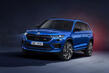 Test av den "laddade" AWD-versionen av Skoda Kodiaq RS foto 1