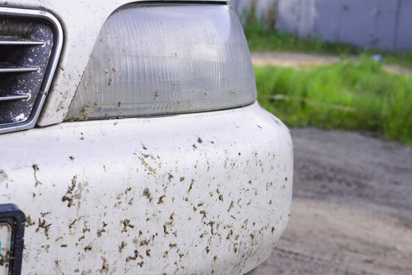 Så tar du snabbt bort insektsrester från bilen