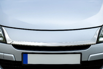 Renault Megane III 2009–2016 Grillist 2008-2011 (rostfritt stål) foto 1