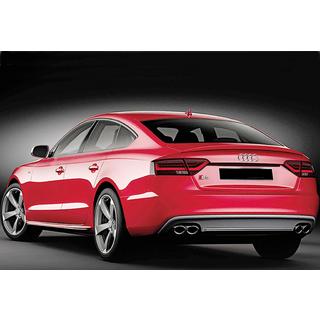 Spoiler DPT V-2 (för Sedan, blank svart) foto 3