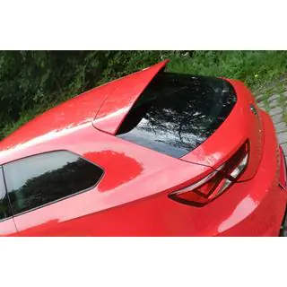Spoiler DPT V-1 (2-dörrars, blanksvart) foto 1
