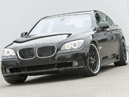 BMW 7-serien F01/F02 2008–2015 Njurgaller 1-bar (blank svart med kromkant) foto 4