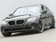 BMW 7-serien F01/F02 2008–2015 Njurgaller 1-bar (blank svart med kromkant) foto 3