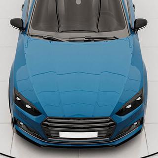 Frontsplitter (frontläpp) Lip V2 (för S-Line 2016-2020, kolfiber) foto 3