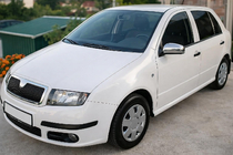 Skoda Fabia 2000–2007 Spegelskal 2006↗ (2 st, rostfritt stål) foto 1