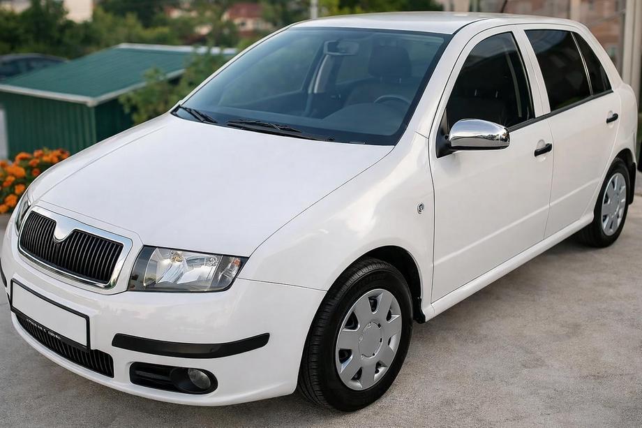 Skoda Fabia 2000–2007 Spegelskal 2006↗ (2 st, rostfritt stål) Image