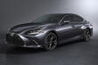 Lexus ES: översikt av en sedan i businessklass foto 4