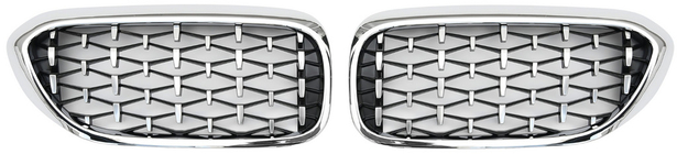 BMW 5-serien G30/G31 2017–2023 Njurgrill Diamond Silver V1 (2017-2020, kromad kant) foto 2