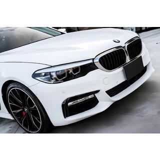 Njurgrillar 1 Bar (2017-2020, svart högglans med kromlist) BMW 5-serien G30/G31 2017–2023 foto 1