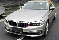 BMW 5-serien G30/G31 2017–2023 Njurgaller 1 bar (2017-2020, M-Color med kromad ram) foto 1