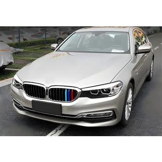 Njurgaller 1 bar (2017-2020, M-Color med kromad ram) BMW 5-serien G30/G31 2017–2023 foto 1