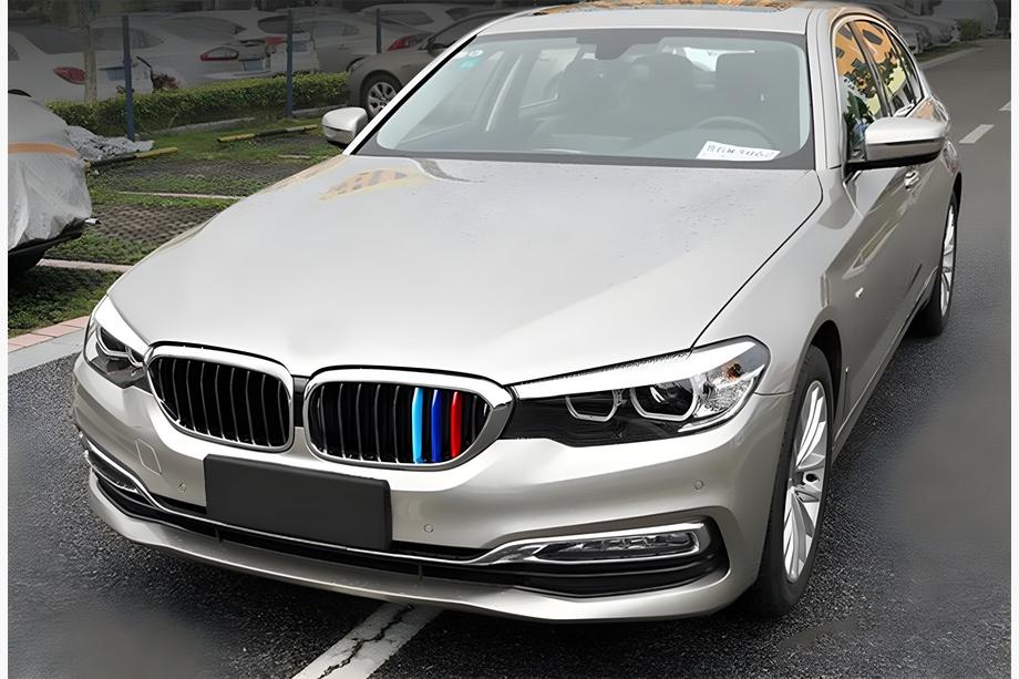 BMW 5-serien G30/G31 2017–2023 Njurgaller 1 bar (2017-2020, M-Color med kromad ram) Image