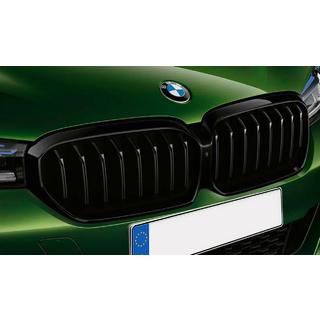 Njurgrillar 1 Bar (2021+, blanksvart) BMW 5-serien G30/G31 2017–2023 foto 1