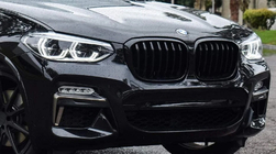BMW X3 G01 2018– Njurgrillar 1 Bar (2018-2021, svart blank) foto 4