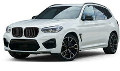 BMW X3 G01 2018– Njurgrillar 1 Bar (2018-2021, svart blank) foto 1