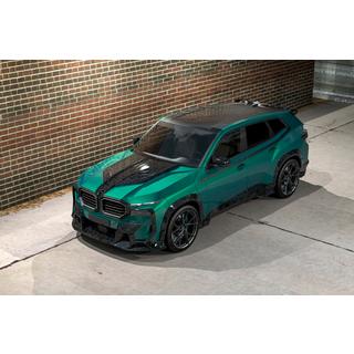 MNSR Carbon karosserikit (smitt kolfiber) foto 1