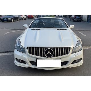 GT Panamericana frontgrill (2008-2011) foto 1