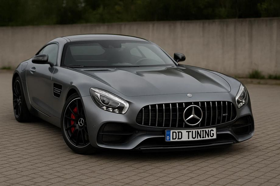 Mercedes AMG GT C190/R190 2014–2022 Frontgrill GT Panamericana (2014-2017) Image
