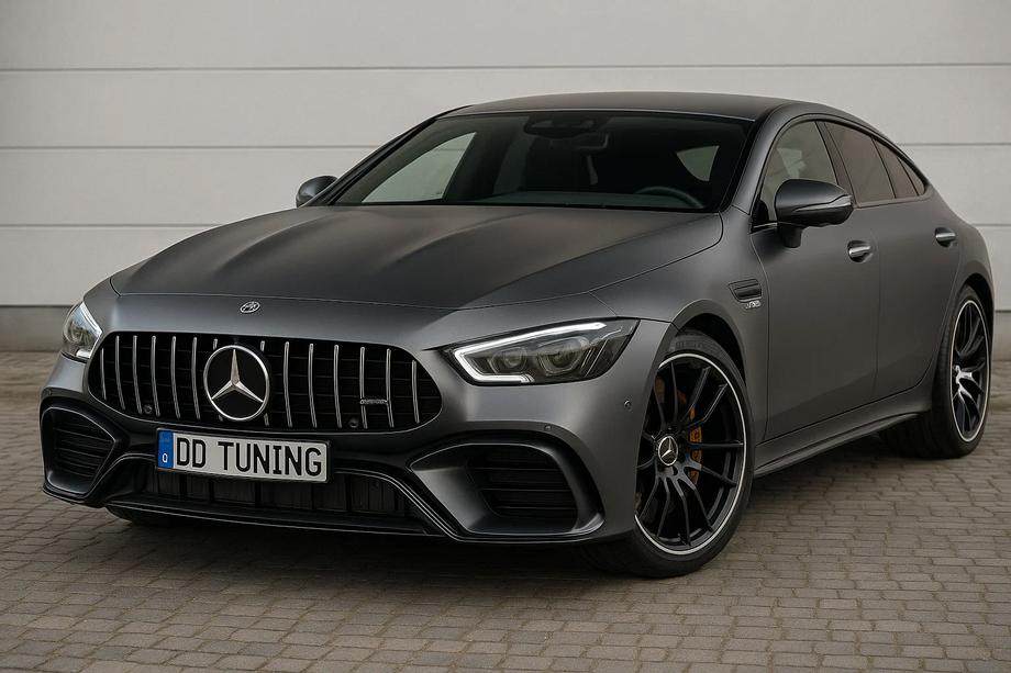 Mercedes AMG GT 4 X290 2018– GT Panamericana frontgrill (2018-2022) Image