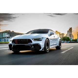 Frontgrill GT Panamericana GT-R (2018-2022) foto 3