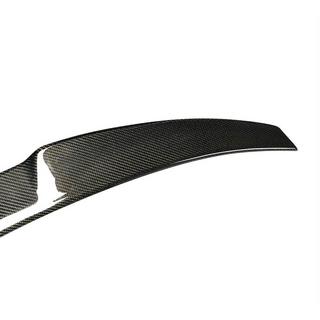 Spoiler V5 (för SD, kolfiber) foto 2