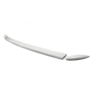Spoiler i 3 delar (för lackering) foto 4