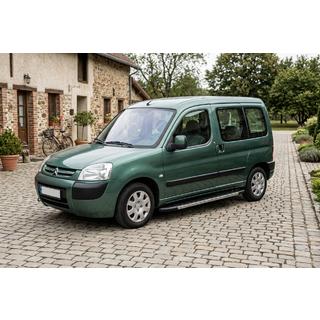 Sidosteg Duru (2 st, aluminium) Citroen Berlingo 1996–2008 foto 1