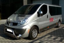 Opel Vivaro 2001–2015 Frontbåge WT003-4 (rostfritt stål) foto 11
