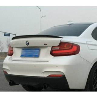 P-Style spoiler (för F22, för lackering) foto 1