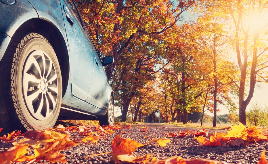 Gör bilen redo för hösten: nödvändigt eller slöseri med tid?