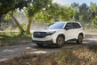 Subaru Forester i sjätte generationen: test av crossovern foto 2